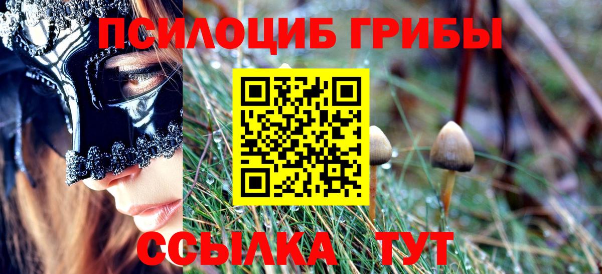 Галлюциногенные грибы мухоморы  Псилоцибиновые грибы прущие грибы  Коломна  Вход с VPN 